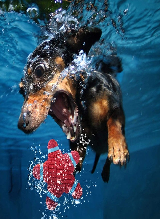 Pups&Pets Dog Star Toy Eetoys Latex Squeaky Star Toy for Dog Latex Squeaky (Medium).. - Image 3